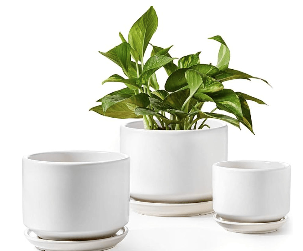 three round ceramic white pots with peace lily plant in it